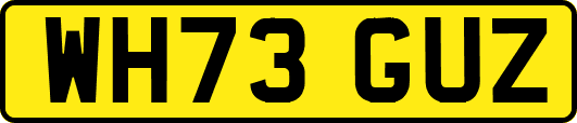 WH73GUZ
