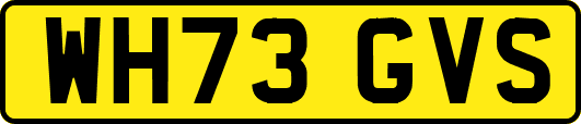 WH73GVS