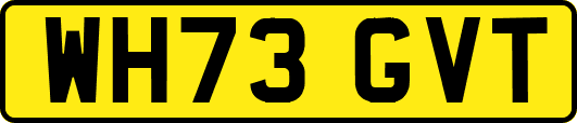 WH73GVT