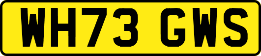 WH73GWS