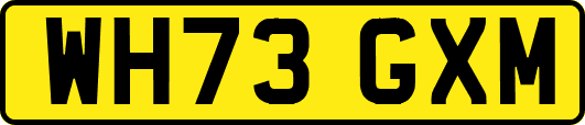 WH73GXM
