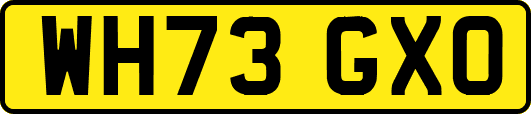 WH73GXO