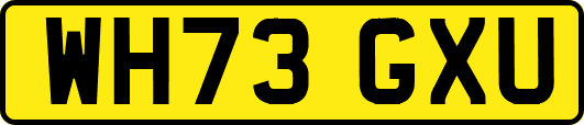WH73GXU