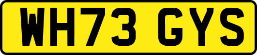 WH73GYS