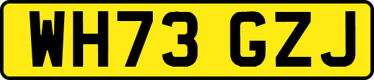WH73GZJ