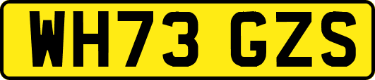 WH73GZS
