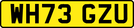 WH73GZU