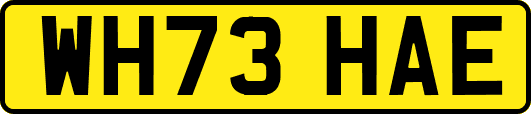 WH73HAE