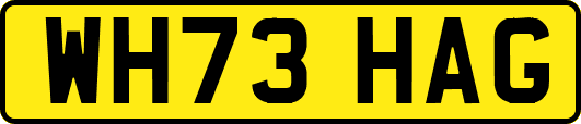 WH73HAG
