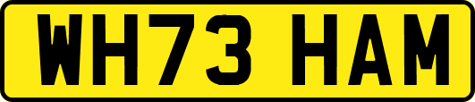WH73HAM