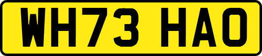 WH73HAO