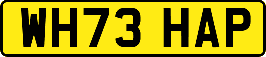 WH73HAP