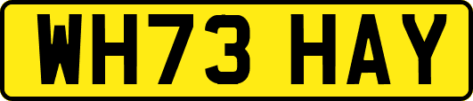 WH73HAY