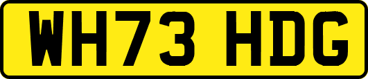 WH73HDG