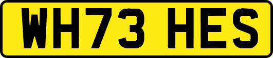 WH73HES