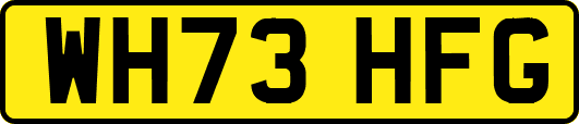 WH73HFG