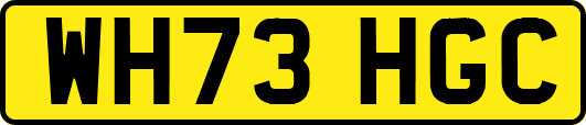 WH73HGC