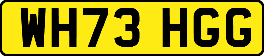 WH73HGG