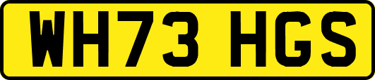 WH73HGS
