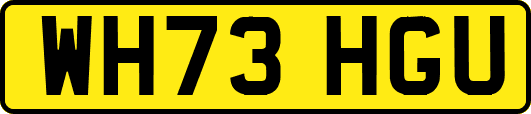 WH73HGU