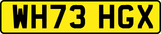 WH73HGX