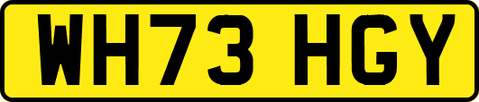WH73HGY