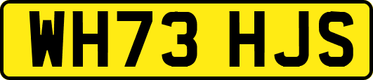 WH73HJS