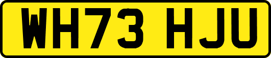 WH73HJU