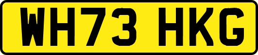 WH73HKG