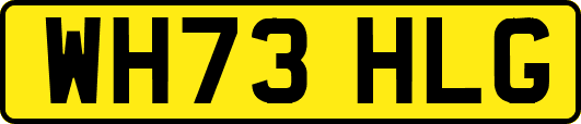 WH73HLG
