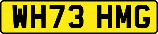 WH73HMG
