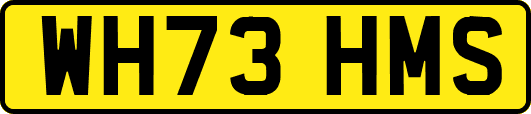 WH73HMS