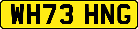 WH73HNG