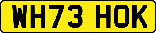 WH73HOK