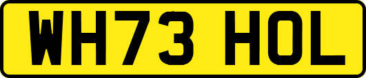 WH73HOL