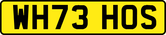 WH73HOS