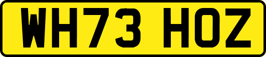 WH73HOZ