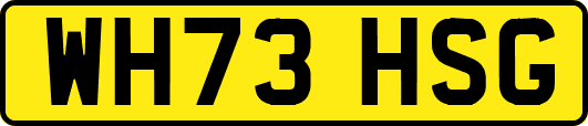 WH73HSG
