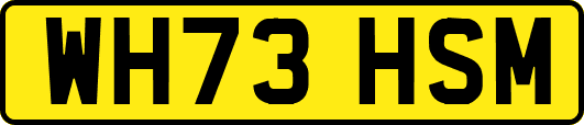 WH73HSM