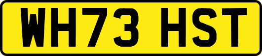 WH73HST