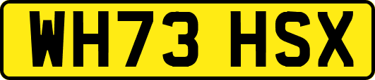 WH73HSX