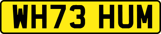 WH73HUM