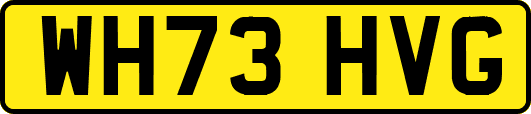 WH73HVG