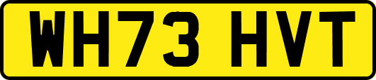 WH73HVT