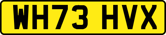 WH73HVX