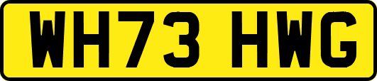 WH73HWG