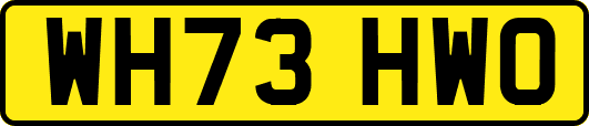 WH73HWO