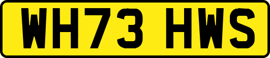 WH73HWS