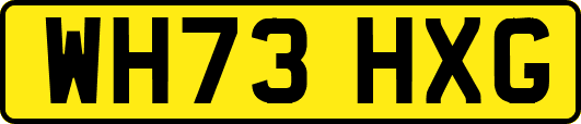 WH73HXG