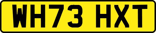 WH73HXT